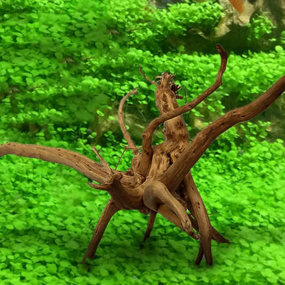 1 Pcs Wood Natural Trunk Driftwood Tree Aquarium Fish Tank Plant Stump Aquarium Fish Tank Ornament Landscaping Decoration